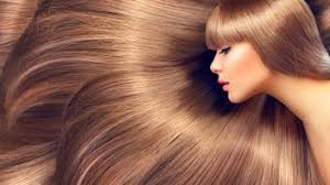 Hemp oil – the best for your hair