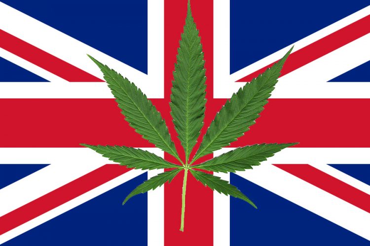 Legalize medical marijuana in the United Kingdom!