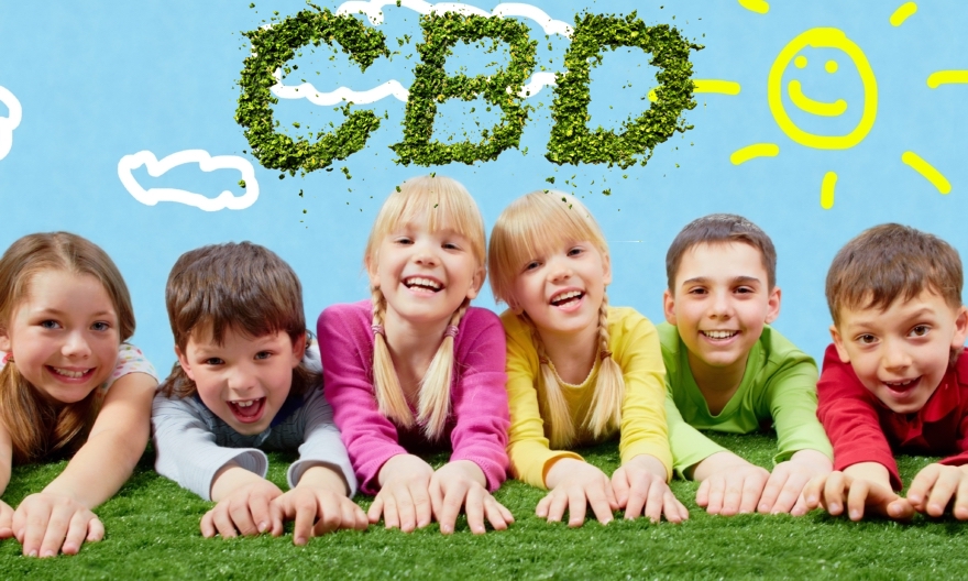 CBD oil - can it be used by children?