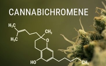 Cannabinoid mới - CBC - làm thế nào nó có thể giúp đỡ?