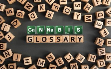 Hemp and CBD - Glossary