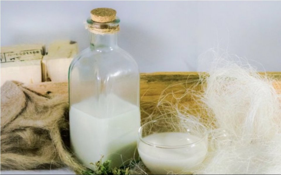 How to easily and quickly prepare hemp milk?