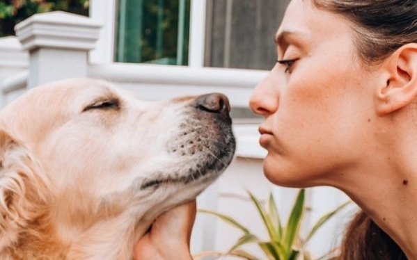 CBD for humans vs. CBD for animals. Is there a difference at all?