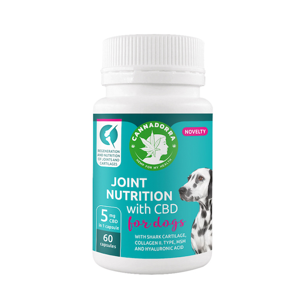 CBD joint nutrition for dogs
